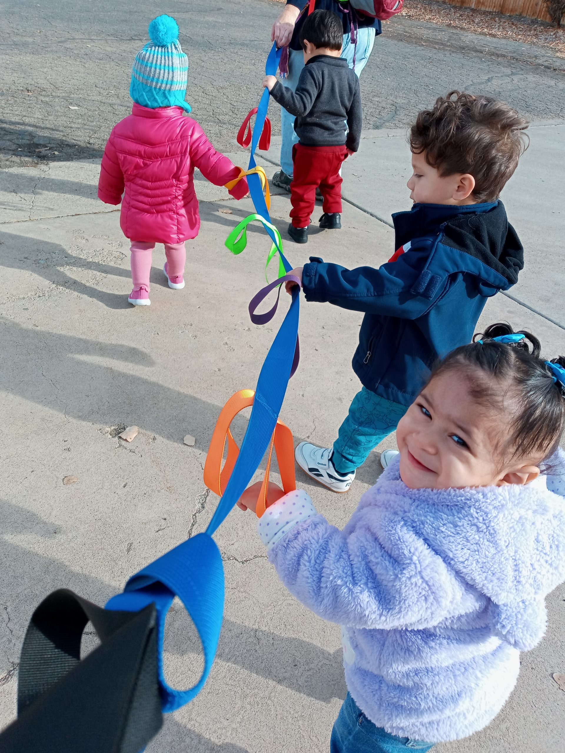 20201106_091729 (1) Wild Plum Center