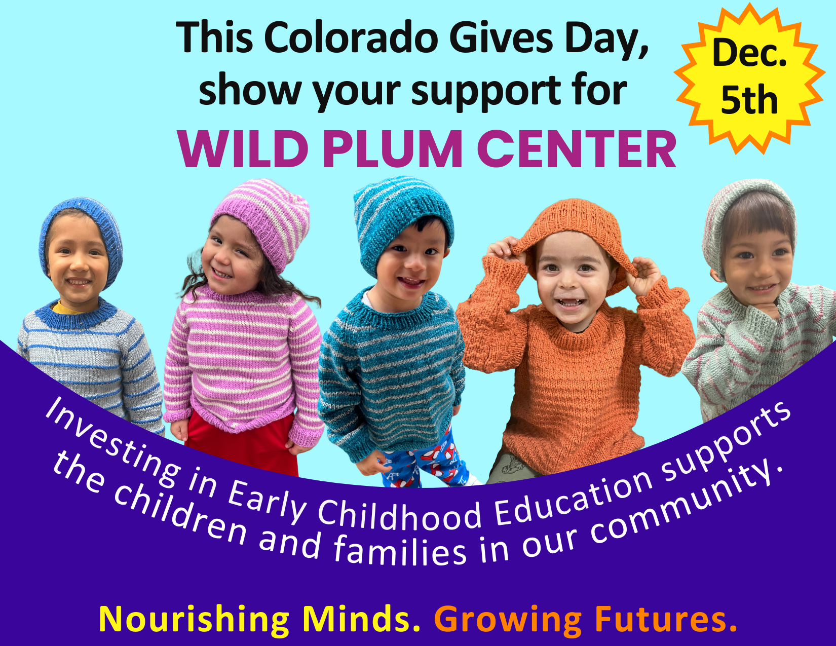 Wild Plum Center For Young Children & Families